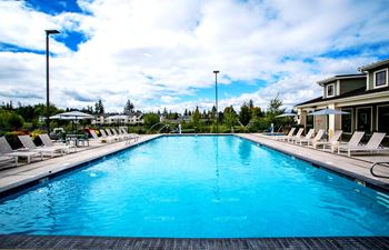 Apartments in WA for Rent With Pool and Deck Chairs